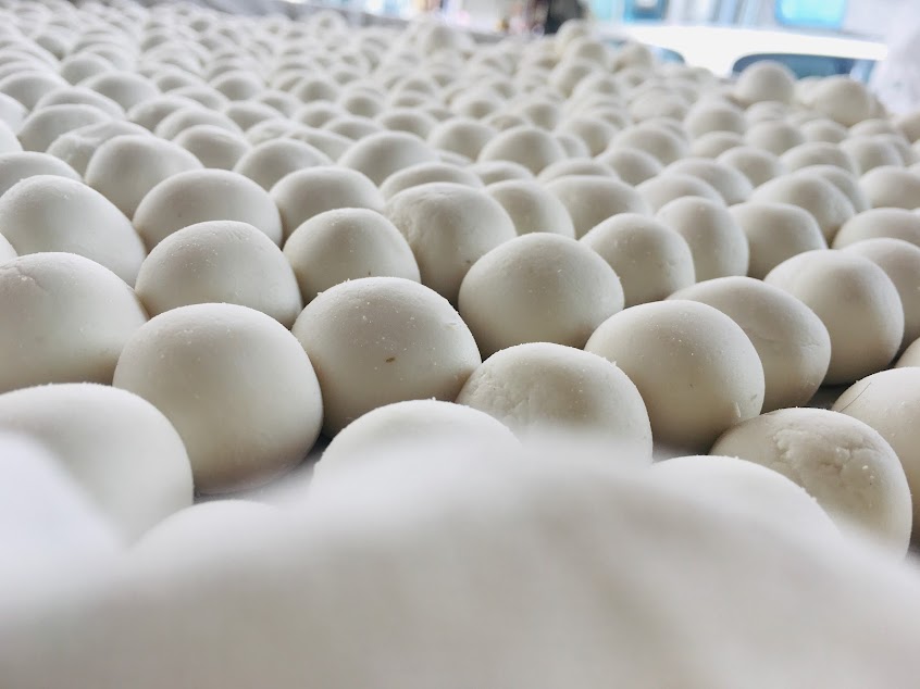 首都麵店（麵食類、湯圓、米苔目、蘿蔔糕等專賣店）