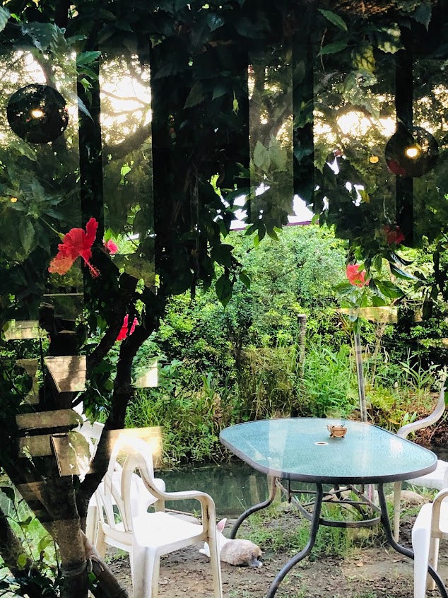 永安61庭園咖啡(生態農場)