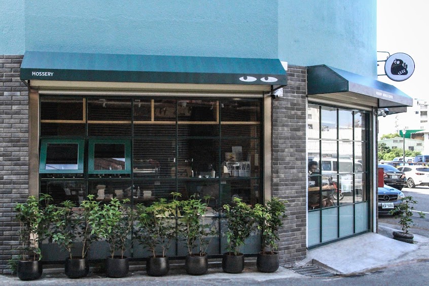 苔蘚視角書與咖啡