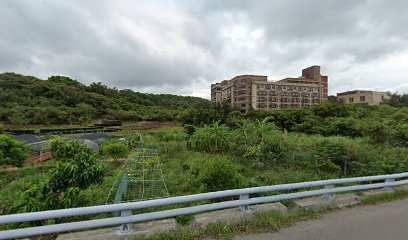 淺水灣養生黑豆花