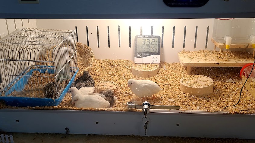 玉山居度假民宿