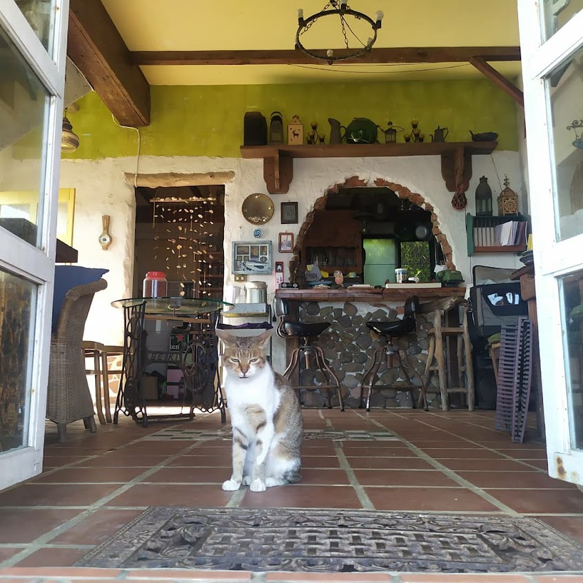 金山跳石沒有名字的咖啡店