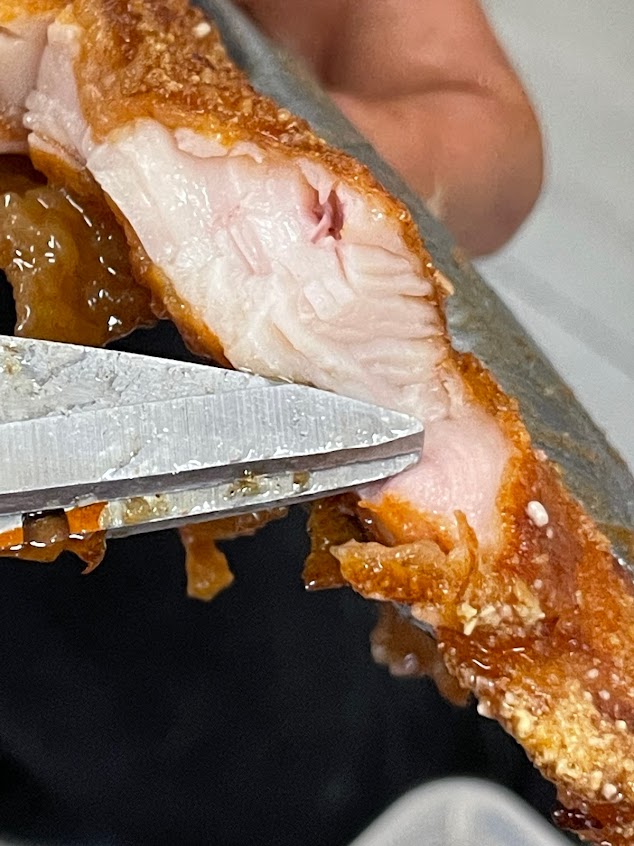 雞皮大王（燒烤雞排、鹽酥雞）