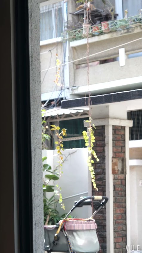 驢子布朗尼專門鋪