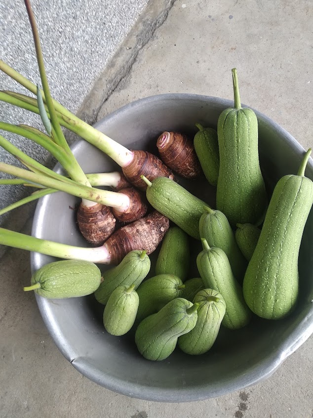 小叮噹快餐店（早午餐）