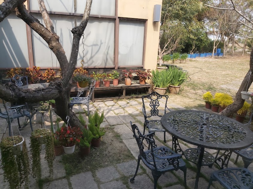 駱駝咖啡・簡餐