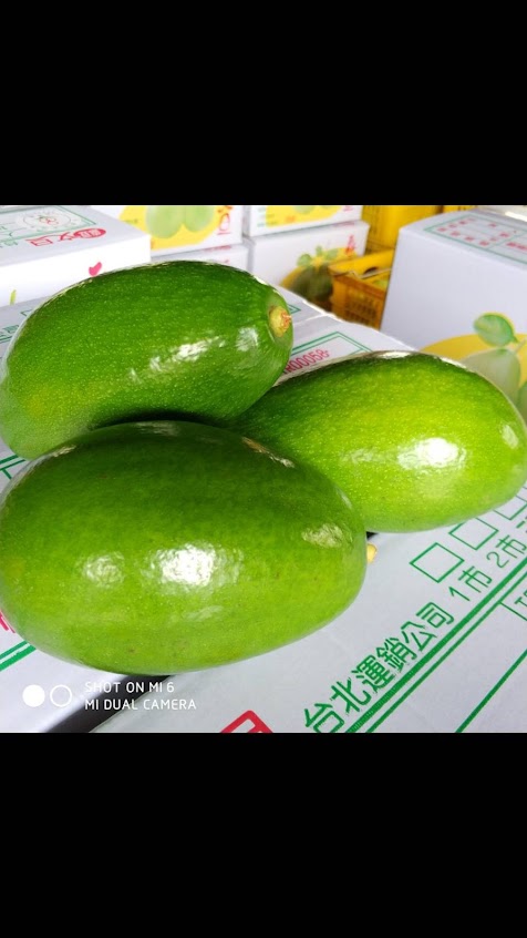 麻豆清旺文旦果園