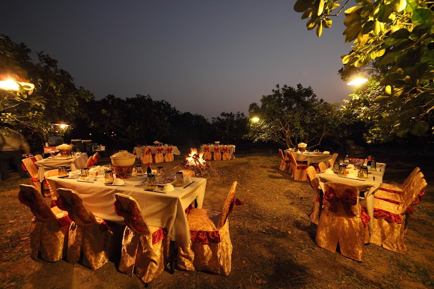 5012柚意思-麻豆文旦推薦 文旦禮盒 老欉文旦 柚子 中秋禮品