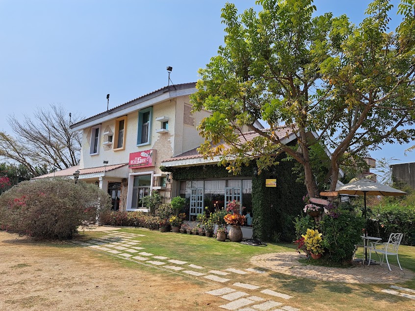 睫毛不翹的驢子