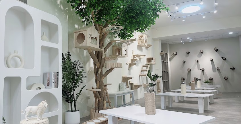 財閥家的公子貓