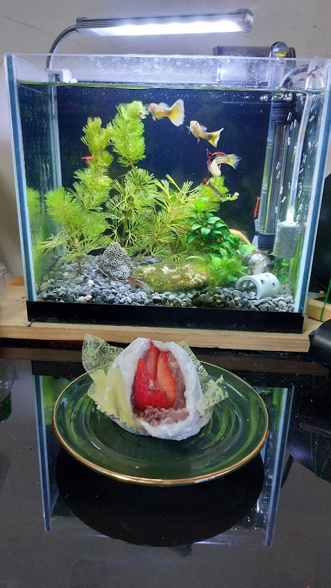 夢想媽媽。甜食研究室 DreamxMom dessert lab