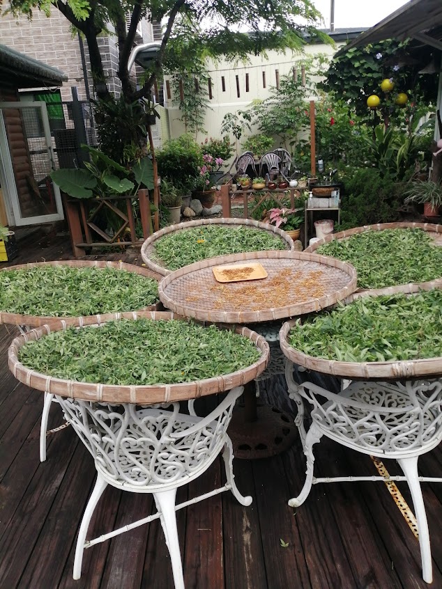 清逸軒庭園香草餐廳 （採預約制）六亀美食，南横， 藤枝