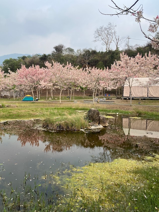 寶來花賞溫泉公園