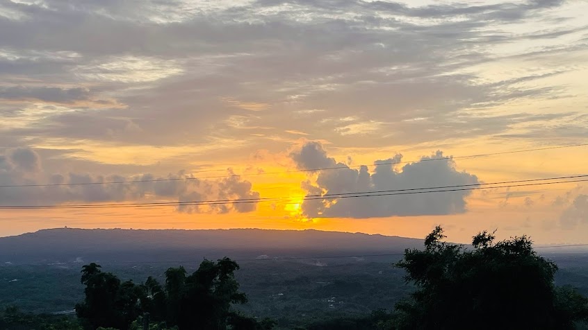 田寮咖啡莊園 skyvillagecoffee