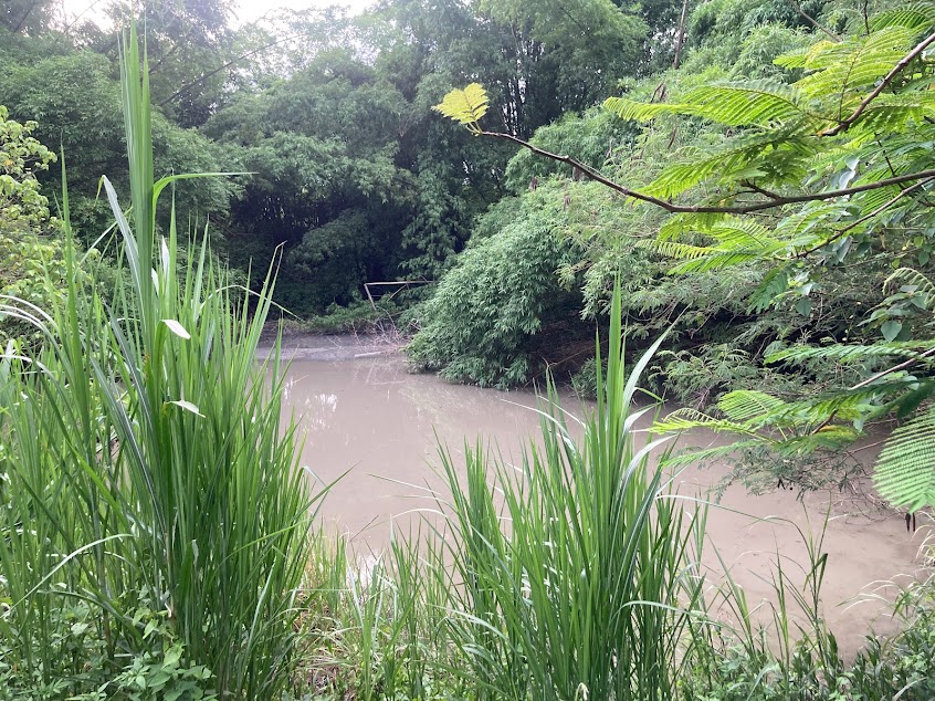 大滾水(泥火山)