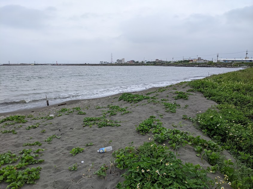 永新漁港沙灘