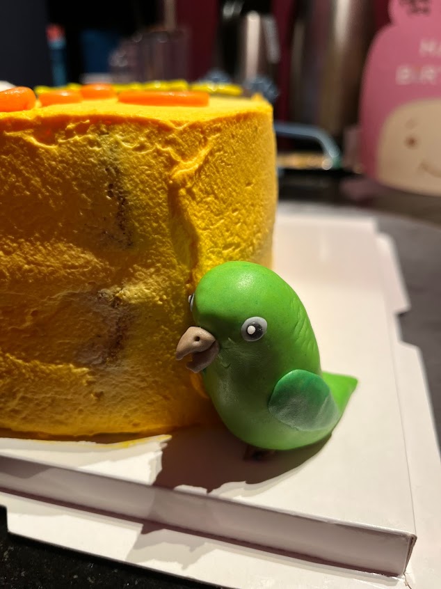 歪辛盒 alien’s box