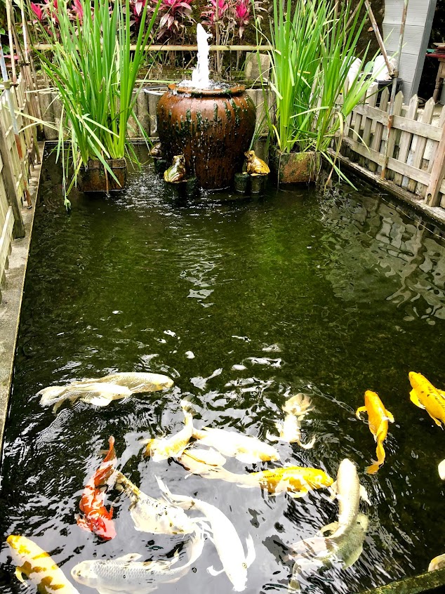 雙心石滬(龍座咖啡)