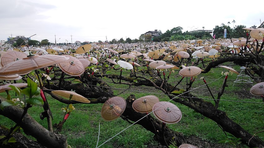 三普羅の蜜蜜基地