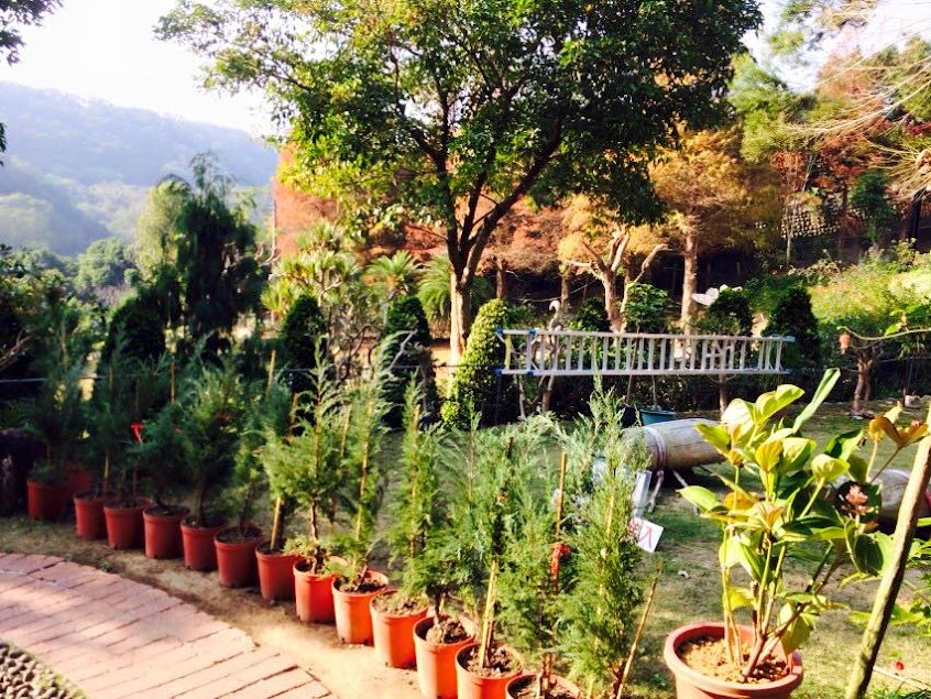 陳家休閒農場 照咖雅品