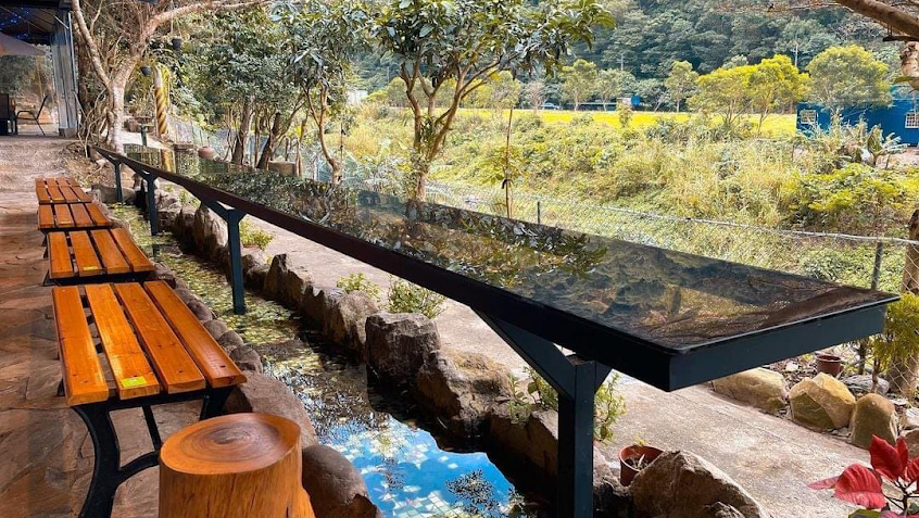 流水森林-浮誇系餐廳 頭城美食 宜蘭美食