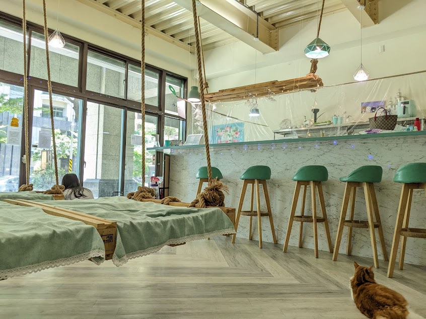 聊夏貓旅x咖啡（寵物友善）