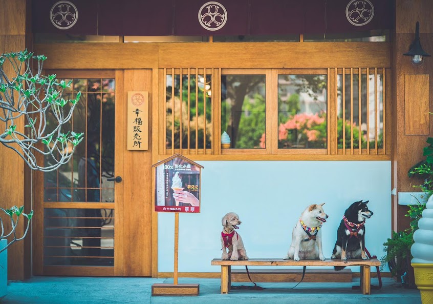 幸福販賣所 The Happiness Shop