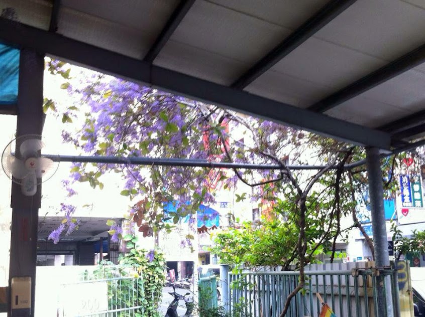 員林 梅園 無刺虱目魚