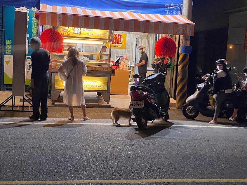 正好吃-龍鹽酥雞-鎮寶店-埔里鹽酥雞推薦|必吃鹽酥雞|炸物推薦|熱門炸物|推薦小吃|在地推薦美食