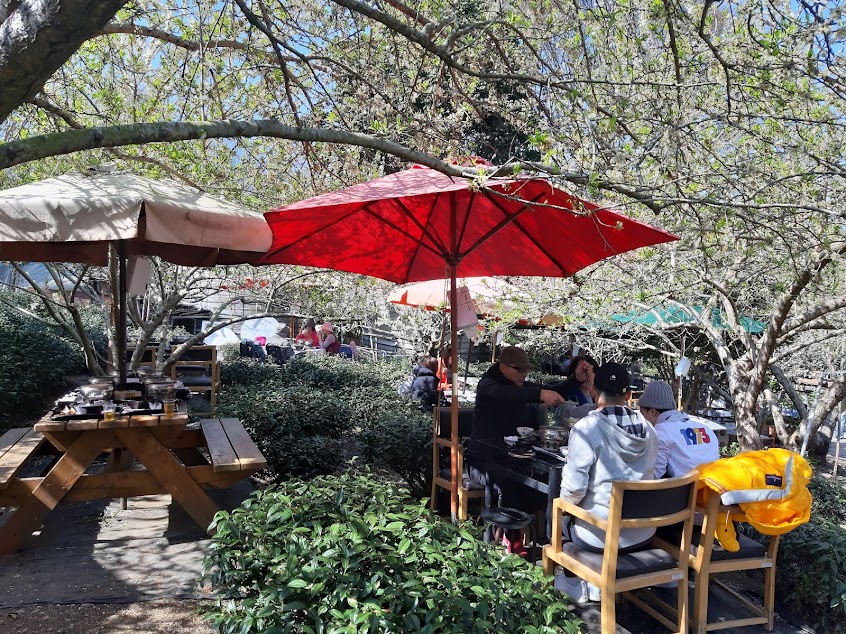 冠鈺園茶葉之茶園小火鍋