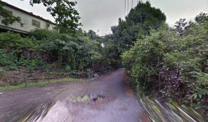 霧社森蛋糕