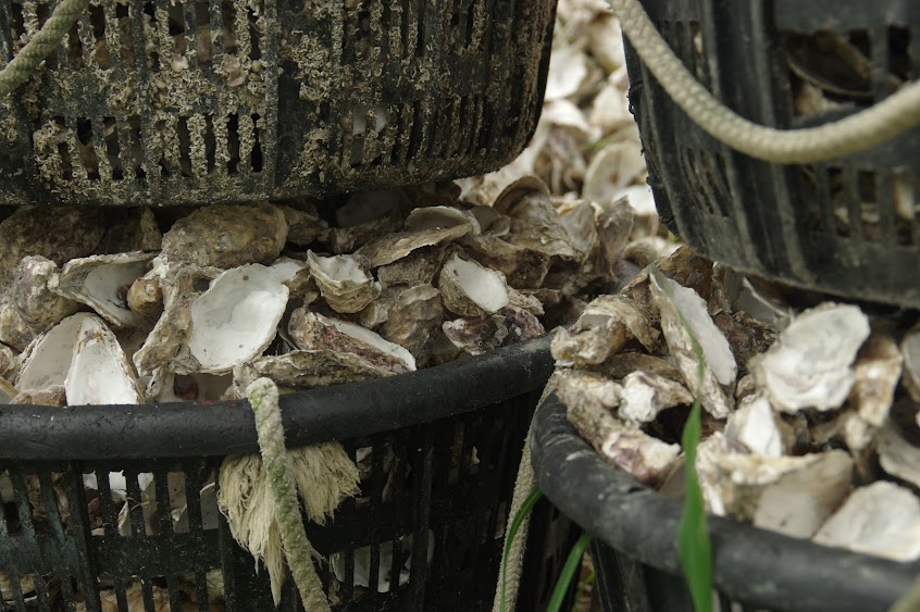 天上海產 烤蚵專賣局