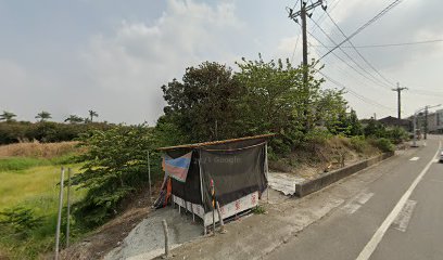 義竹岸頭現採芒果攤