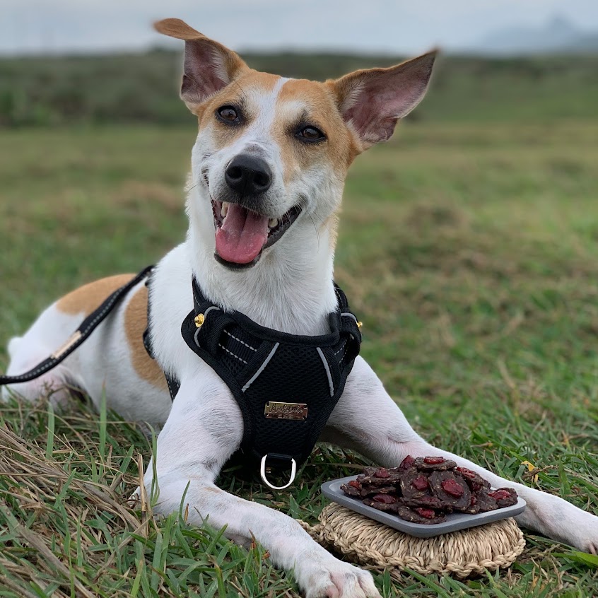 恆Chill半島工作室