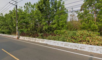 砌鹹呷炸雞鹹水雞