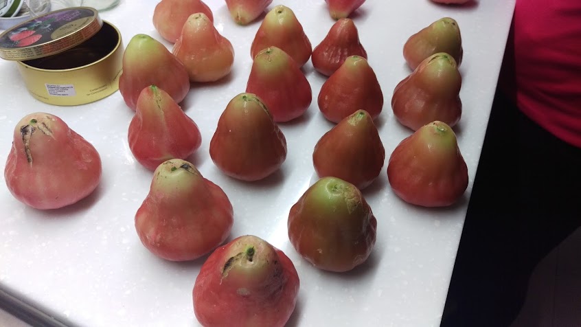 粗皮雄蓮霧菱角