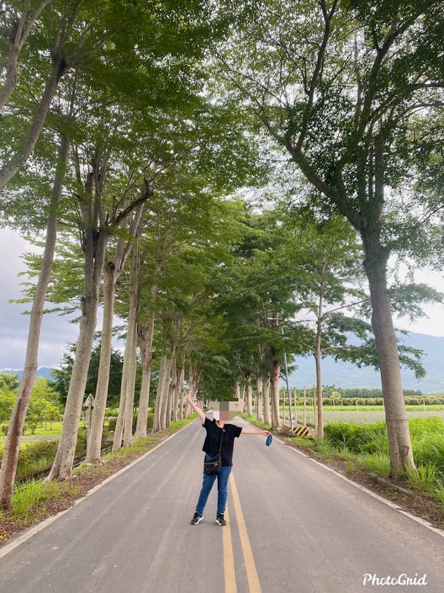 台東龍田綠色隧道