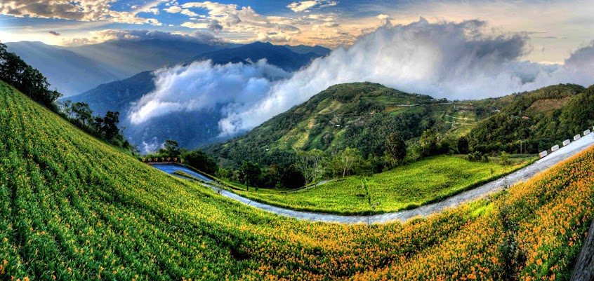 太麻里金針山休閒農業區