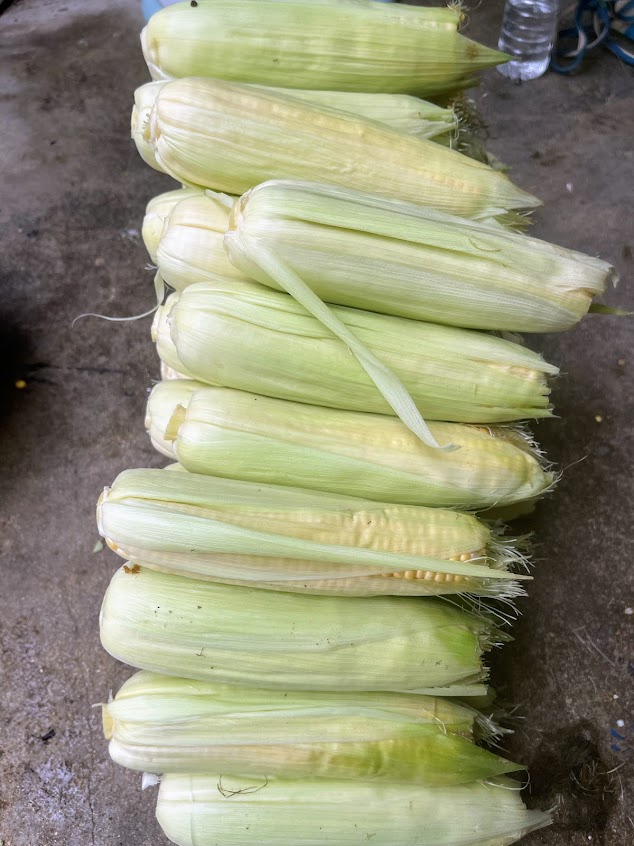 農夫野很型二哥的蔬果園