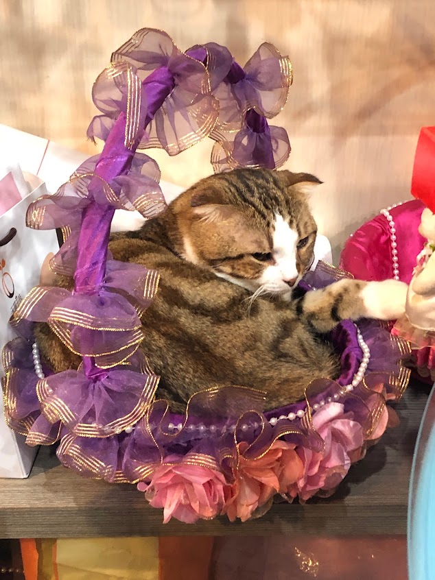 緣定一生（禮坊、一之鄉、郭元益、元祖、金格、洋酒、禮盒、六禮）