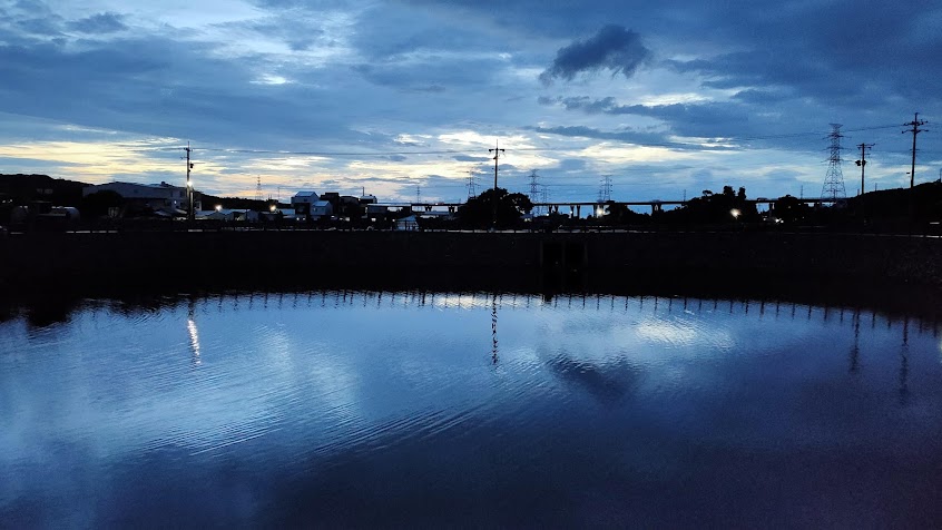 通霄放山土雞-需提前來電預約 僅供外帶(白斬雞/麻油雞/辣椒雞)