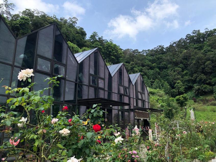 雅聞七里香玫瑰森林