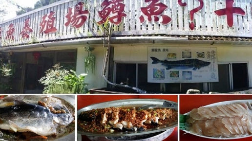 南庄鱒魚養殖場創始店