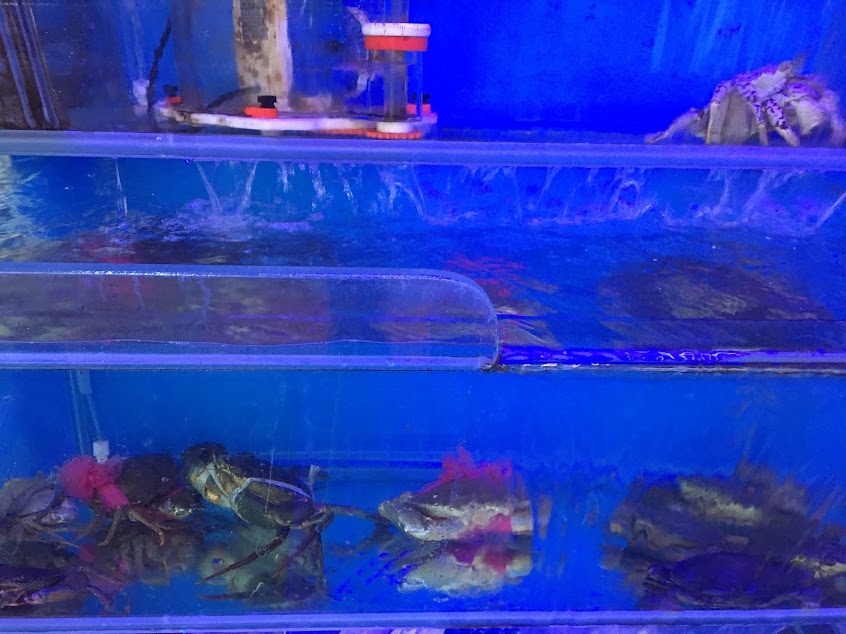 築饌無菜單料理全預約制