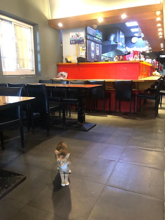 松本家 咖哩 定食 烏龍麵