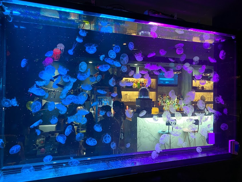 Jellyfish Bistro&Bar桃園水母餐酒館