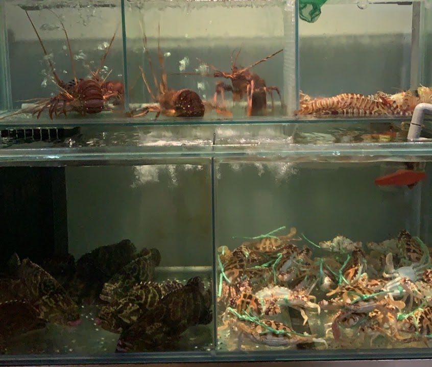 壹樓小館