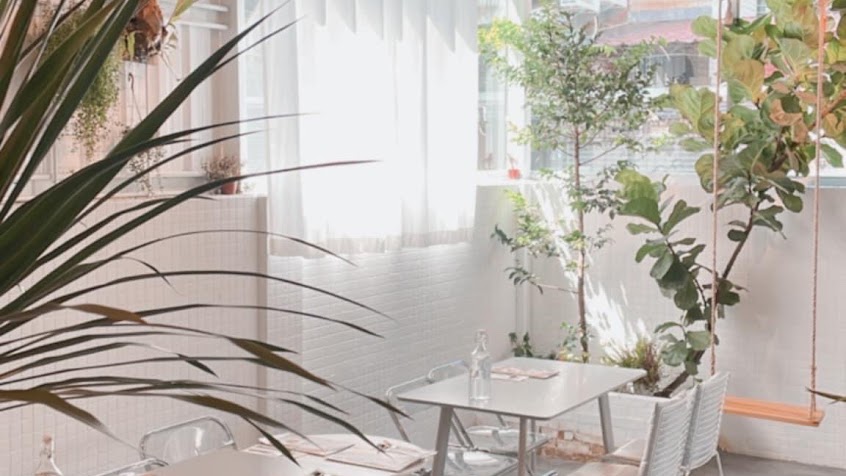 狸窩 Little Oven (台中素食餐廳/甜點、義大利麵、披薩、燉飯)