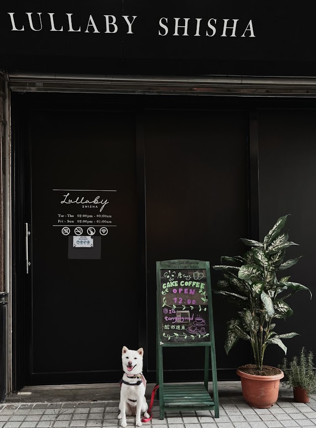 Lullaby shisha《台中酒吧推薦》特色餐酒館｜質感咖啡廳