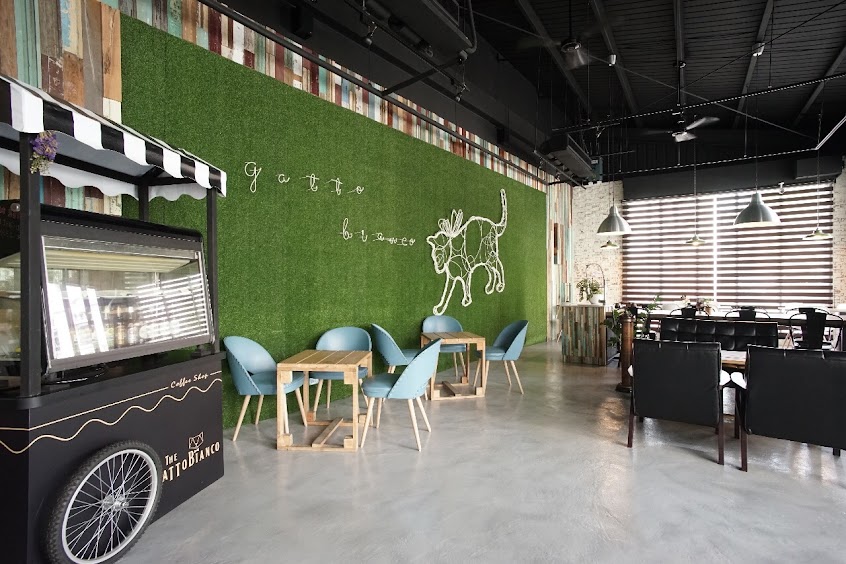 白貓散步 Gatto Bianco